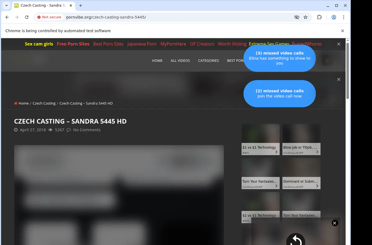 Pornvibe Video Downloader browser extension screenshot 2