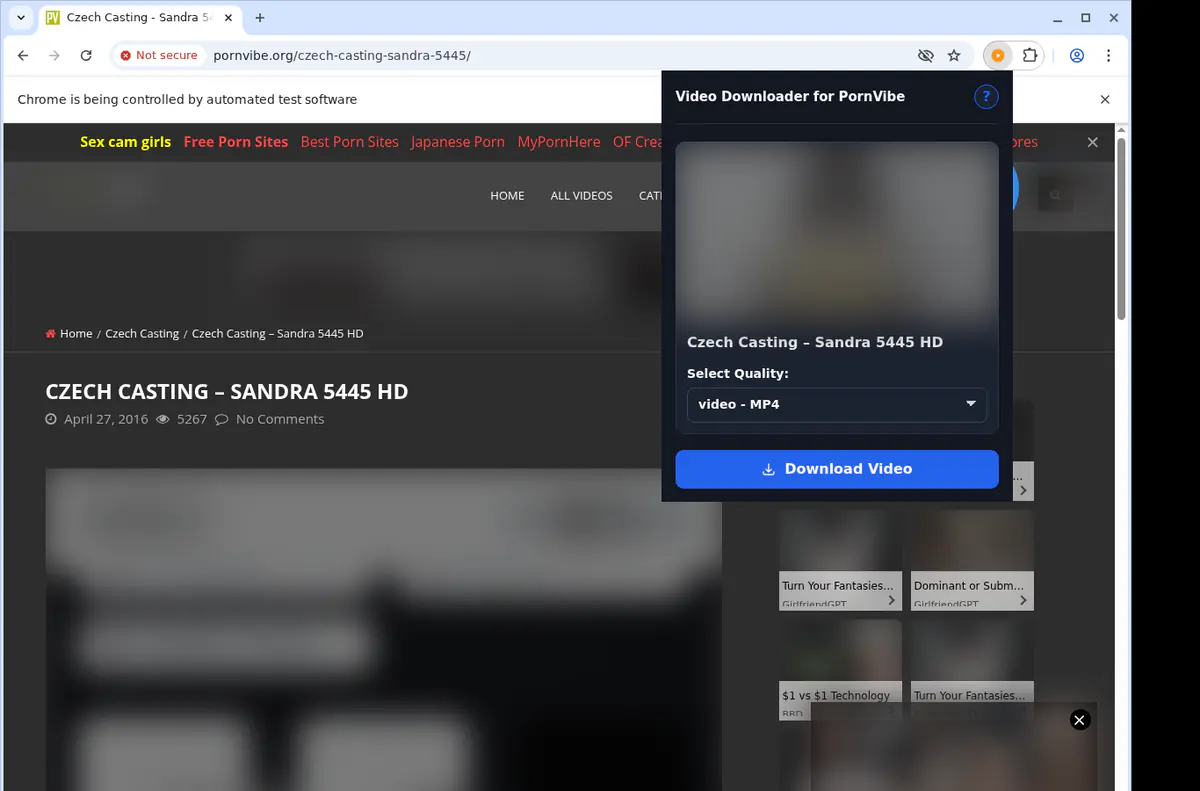 Pornvibe Video Downloader browser extension screenshot 3