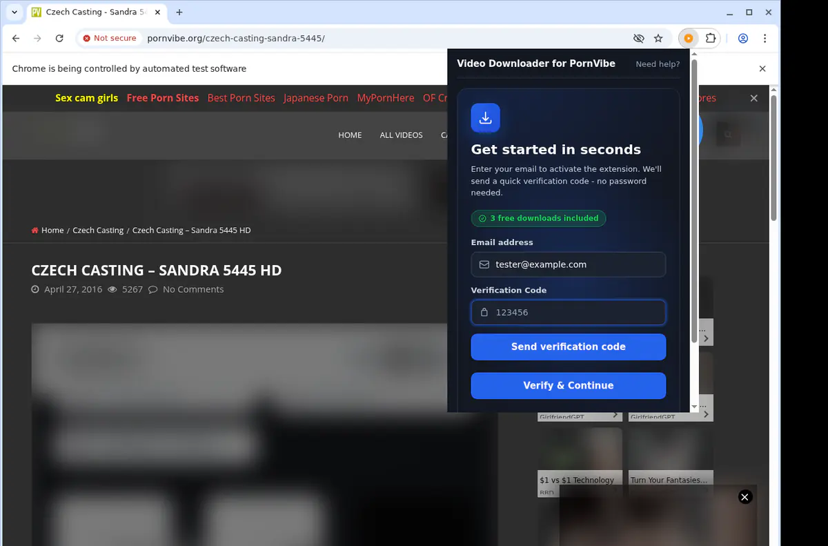 Pornvibe Video Downloader browser extension screenshot 4