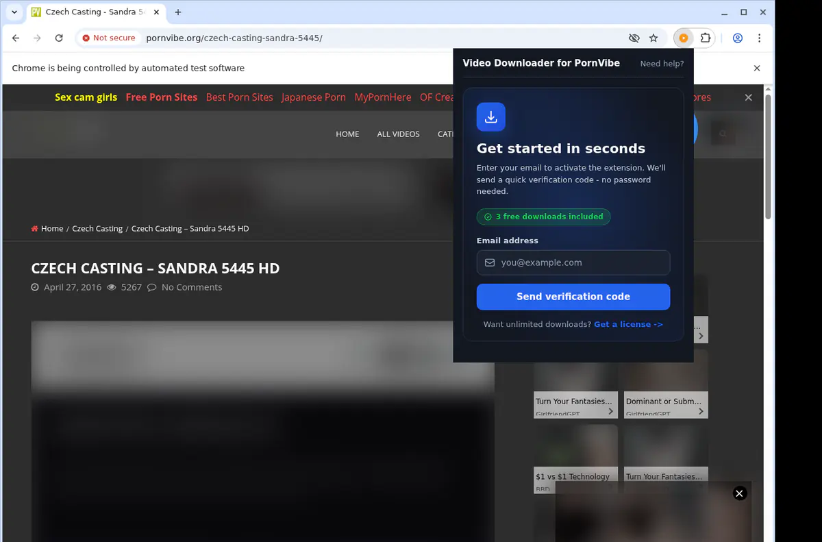 Pornvibe Video Downloader browser extension screenshot 5